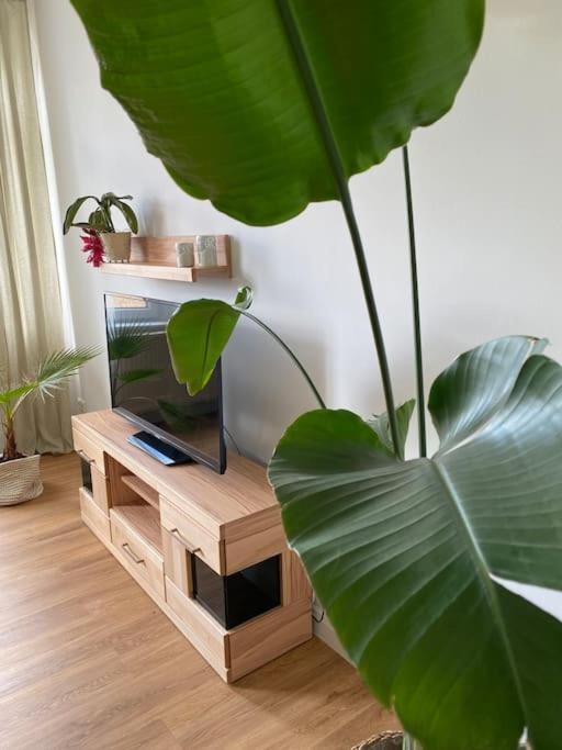 2-Zimmer Zentral In Ferdinandshof, Wlan Modern Bagian luar foto