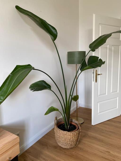 2-Zimmer Zentral In Ferdinandshof, Wlan Modern Bagian luar foto
