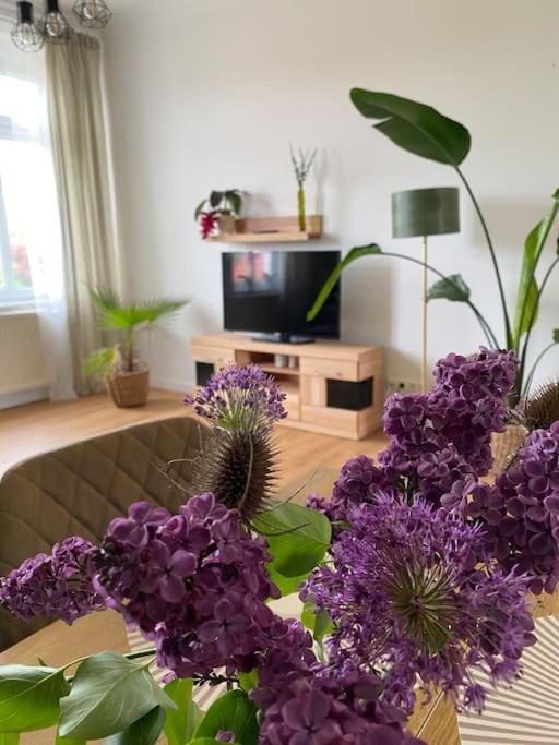 2-Zimmer Zentral In Ferdinandshof, Wlan Modern Bagian luar foto